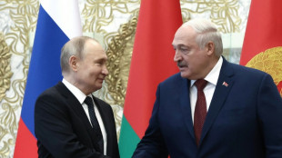 Bielorrusia suspende su participaci&oacute;n en el tratado sobre la reducci&oacute;n de armas en Europa