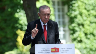 Erdogan agradece a S&aacute;nchez sus posiciones sobre Gaza en su visita a Madrid