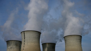 S&ucirc;ret&eacute; nucl&eacute;aire: le projet de fusion ASN-IRSN soumis au vote des s&eacute;nateurs