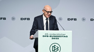 DFB-Bundestag gibt grünes Licht für "Frauen-DFL"
