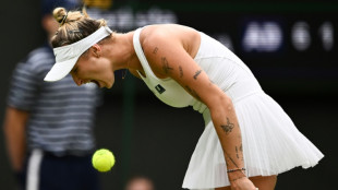 Five things on Wimbledon finalist Marketa Vondrousova