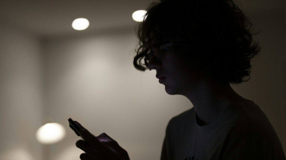 R&eacute;seaux sociaux: l'Estonie oppos&eacute;e &agrave; une majorit&eacute; num&eacute;rique dans l'UE