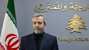 El nuevo ministro de Relaciones Exteriores de Ir&aacute;n confirma que hay di&aacute;logo con EEUU