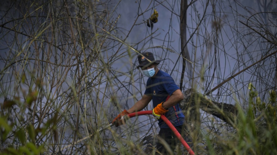 "Vraiment effray&eacute;s": &agrave; Born&eacute;o, les incendies prennent de vitesse les soldats du feu