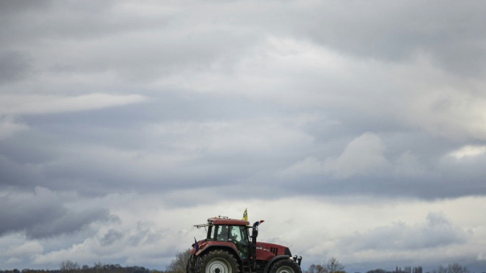 Accord UE-Mercosur: derni&egrave;re ligne droite agit&eacute;e, la France s&egrave;me le trouble