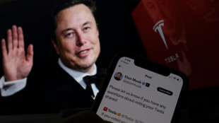 Los accionistas de Tesla apoyan un millonario plan de remuneraci&oacute;n de Musk, seg&uacute;n el magnate