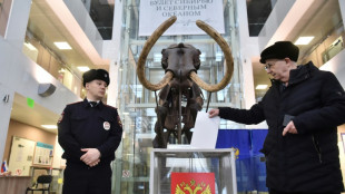 Putin es reelegido para un quinto mandato en Rusia, seg&uacute;n resultados preliminares