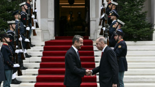 Erdogan et Mitsotakis d&eacute;termin&eacute;s &agrave; surmonter divergences et tensions gr&eacute;co-turques