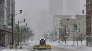 Forte inverno atrapalha prim&aacute;rias republicanas em Iowa