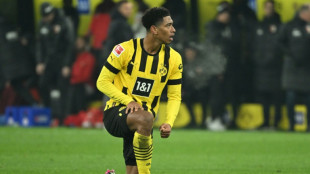 Bellingham 'irreplaceable', says Dortmund's Kehl