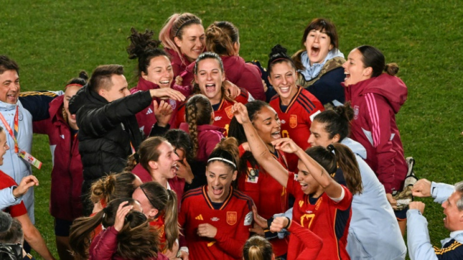'Work of art' sends Spain into first World Cup final