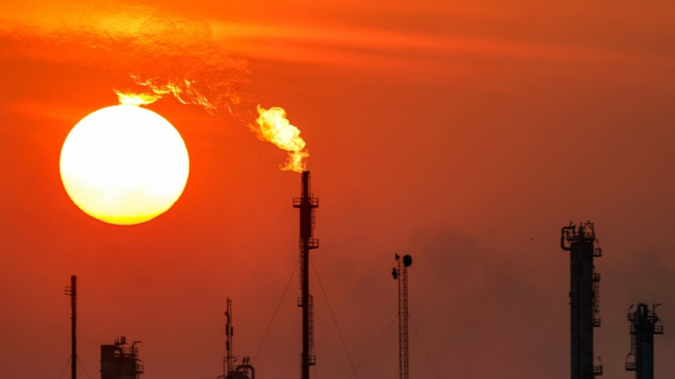 Opep+ volta a aumentar sua produção de petróleo