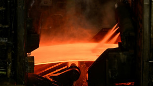 L'UE d&eacute;ploie un arsenal sans pr&eacute;c&eacute;dent pour sauver sa production d'acier