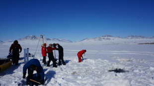 Le réchauffement climatique pourrait provoquer un "débordement viral" depuis l'Arctique