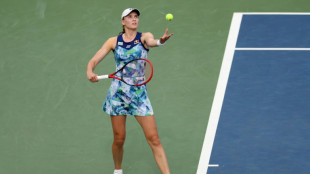 Starstruck Rybakina on the mend at US Open