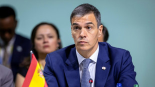 La desinformaci&oacute;n sobre Pedro S&aacute;nchez en redes refuerza el discurso de Javier Milei