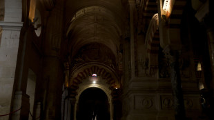 Fiamme alla Moschea di Cordova in Spagna, pompieri sul posto