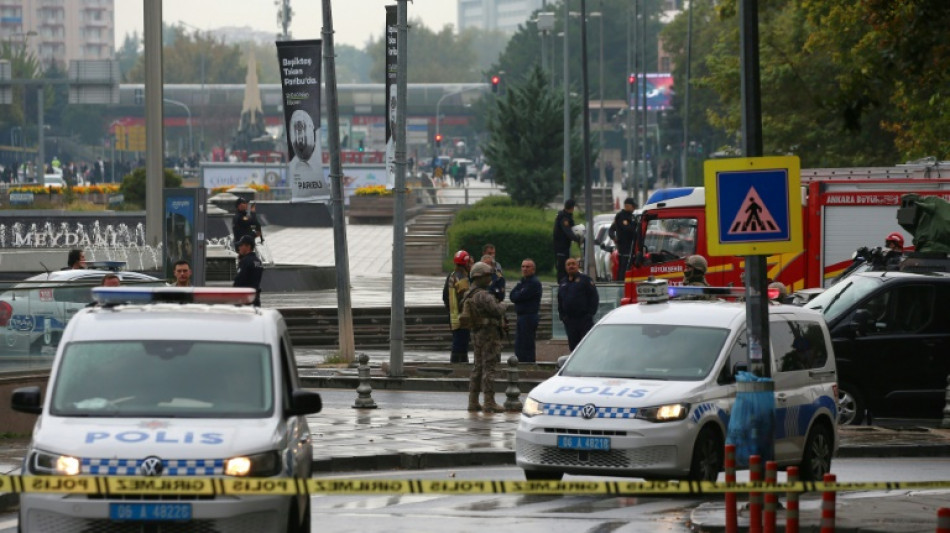 Dos polic&iacute;as heridos en un atentado suicida en la capital turca