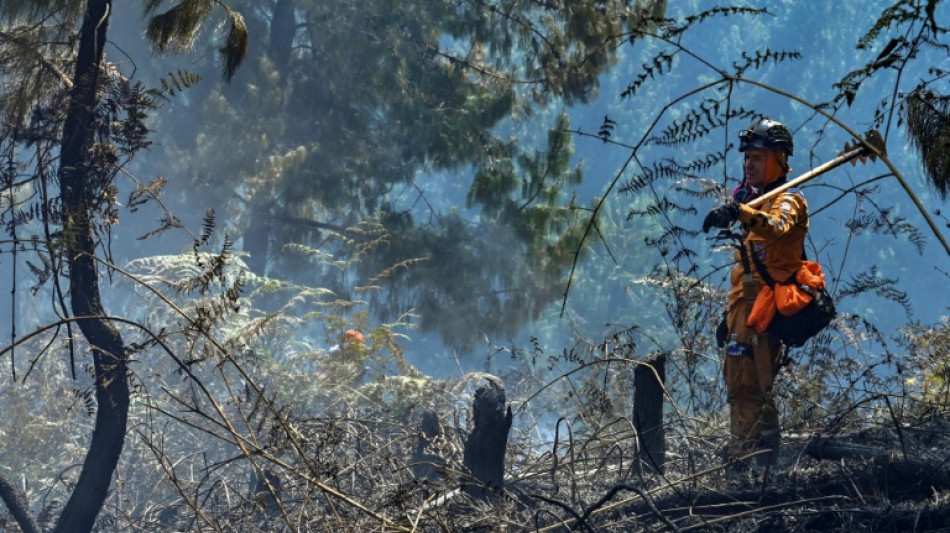 "Este sol no picaba as&iacute; antes": el fuego sorprende a los Andes colombianos