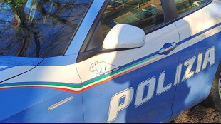 La accoltella perch&egrave; il suo cane abbaia troppo, donna &egrave; grave