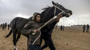 Off a desert highway, Israel Bedouins rejoice in horse racing