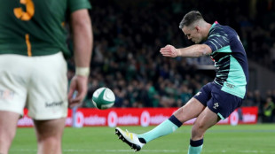 Ireland must build on Springbok victory and add silverware: Sexton