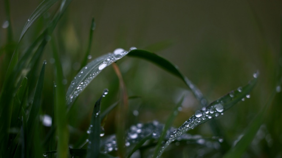 Autour d'Evian, 30 ans d'adaptation des pratiques agricoles pour prot&eacute;ger l'eau min&eacute;rale