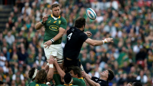 Veteran Vermeulen to lead South Africa against Australia