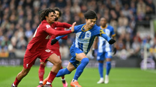 GoPro Mitoma studied way to Premier League stardom