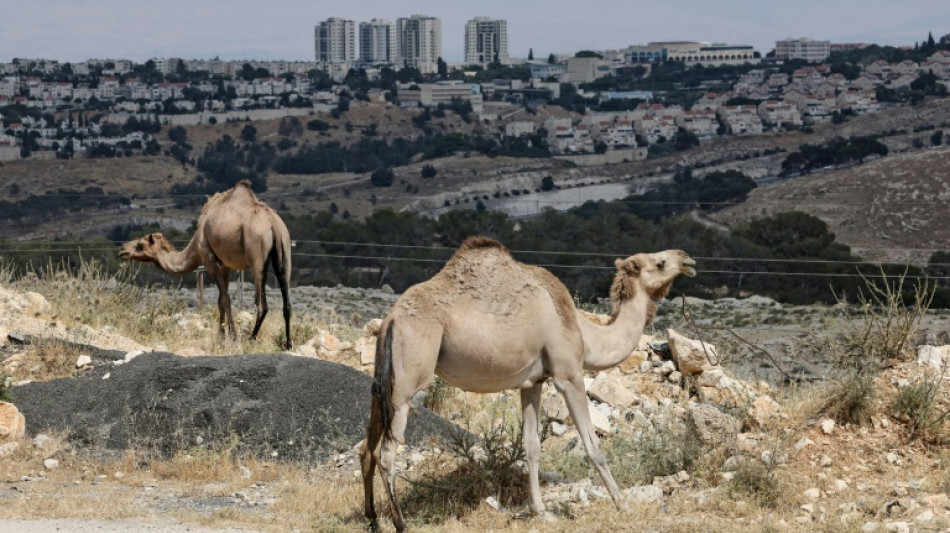 Key European leaders demand Israel halt West Bank settlement project