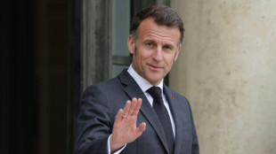 Emmanuel Macron &agrave; Lyon pour un sommet sur la sant&eacute; et l'environnement