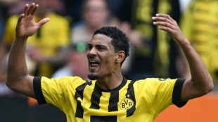Haller toasts Dortmund's 'beautiful' title chance after cancer battle