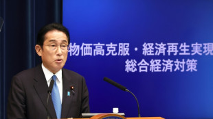 Japan will Inflation und schwachen Yen mit 266 Milliarden Euro bek&auml;mpfen