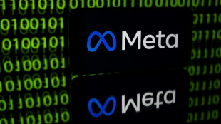 Meta va d&eacute;penser plus de 10 milliards de dollars chez Google en services de cloud