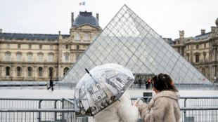 Au Louvre, frustration et r&eacute;signation devant la hausse des prix pour les touristes hors-UE
