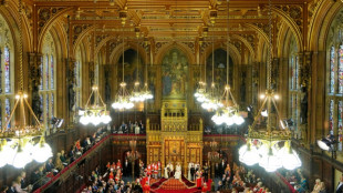 Obispos en el Parlamento brit&aacute;nico, un derecho divino que irrita a los laicistas