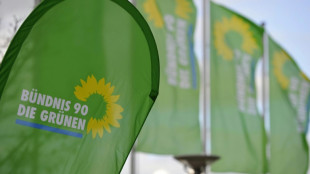 Nouripour: Joschka Fischer hat die Gr&uuml;nen "mit der Macht vers&ouml;hnt"