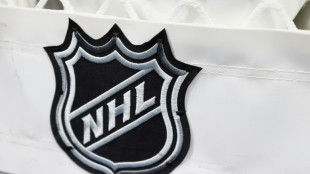 New owner says NHL Senators worth effort and price