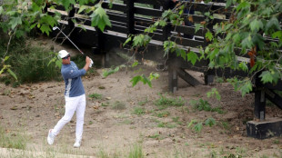 Resurgent Fowler fires stunning 62 in US Open return