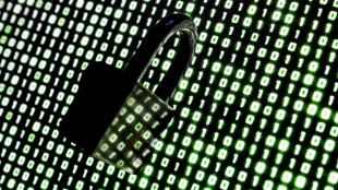 Sitios web fuera de servicio en todo el mundo tras fallas de seguridad detectadas por IA