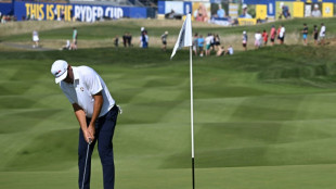 Scheffler leads USA's Ryder Cup charge in opening foursomes session