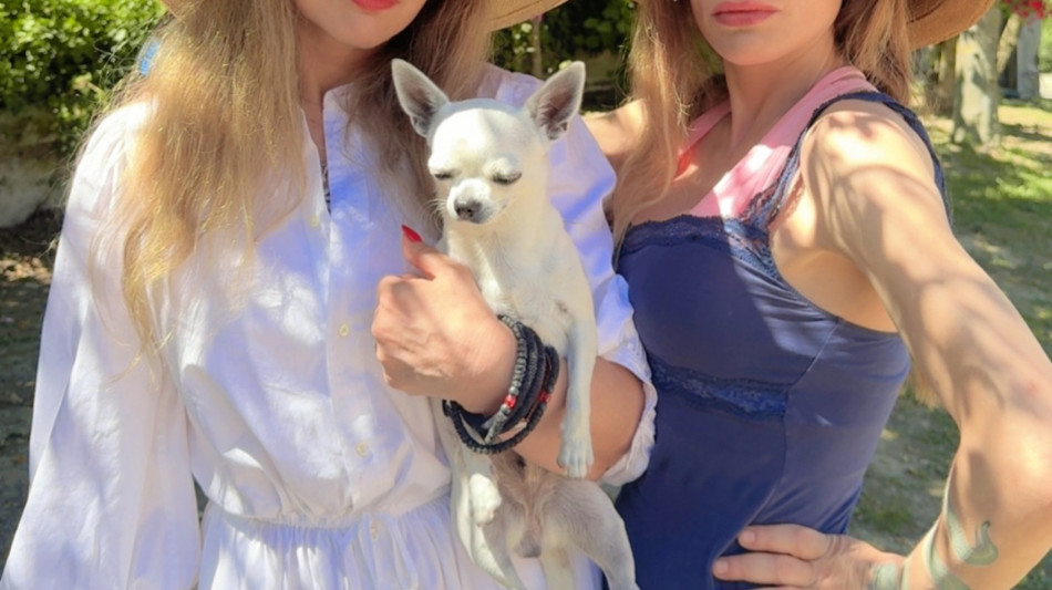 Fuori il traditore, la campagna contro chi abbandona animali