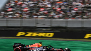 'Fired up' Verstappen takes Japanese GP pole position