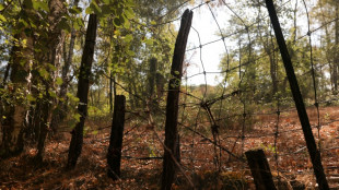 La Sologne, for&ecirc;t ab&icirc;m&eacute;e par les grillages et les chasses priv&eacute;es