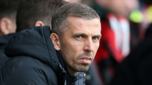Wolves appoint O'Neil as new head coach