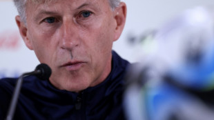 Netherlands turn to their Spanish spies for World Cup clash
