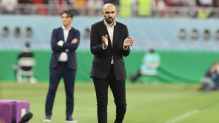 African team to win World Cup in '15-20 years', says Morocco coach