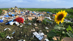 Urteilsverk&uuml;ndung im Prozess um Abschuss von Flug MH17 in den Niederlanden