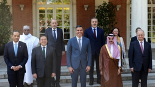 Un ministro saudita agradece a pa&iacute;ses europeos su reconocimiento de Palestina como Estado