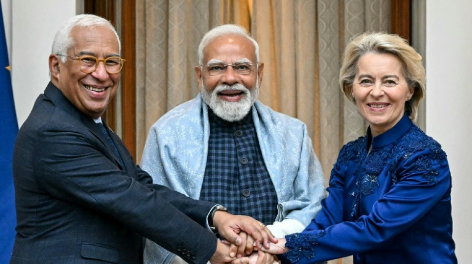 Greenland blues to Delhi red carpet: EU finds solace in India